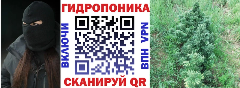 Купить закладку Выборг Галлюциногенные грибы A PVP Меф мяу мяу НБОМе ГАШИШ