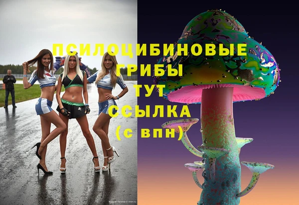соль ск Няндома