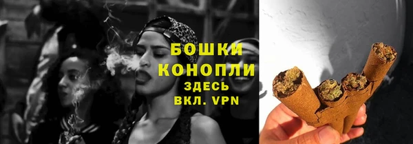соль ск Няндома
