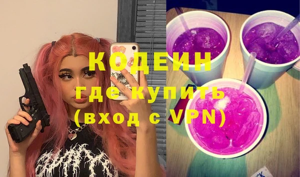 соль ск Няндома