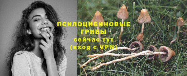 соль ск Няндома