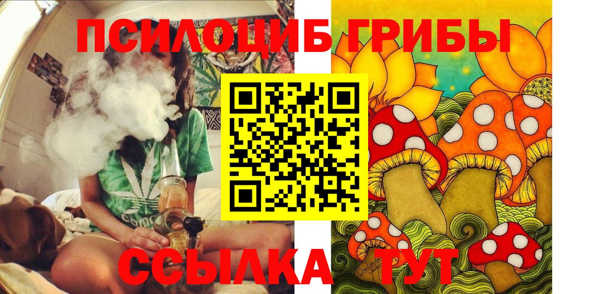 Псилоцибиновые грибы Magic Shrooms  Выборг 